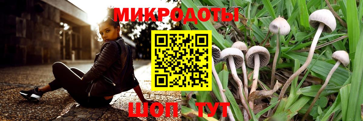 Псилоцибиновые грибы прущие грибы  Вход с VPN  Бахчисарай 